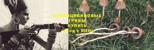PSILOCYBIN Ессентукская
